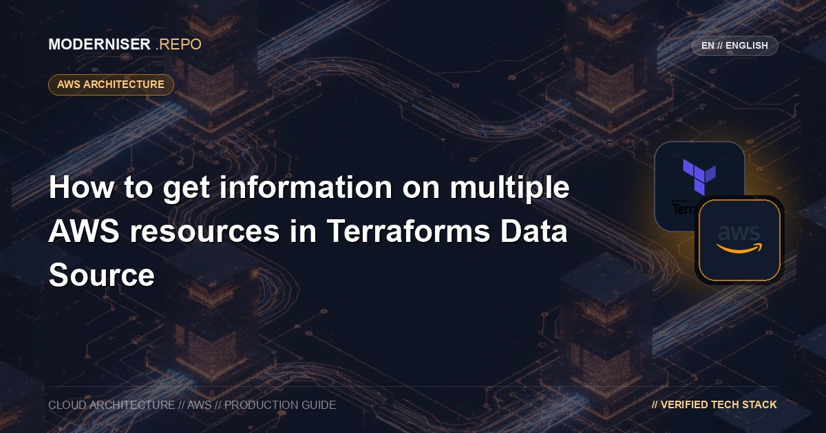 How to get information on multiple AWS resources in Terraforms Data Source